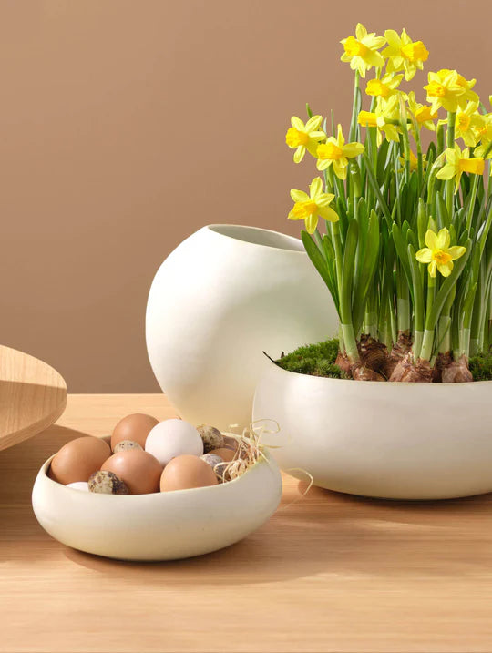 ASA Swing Schale 20cm soft Shell